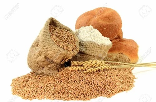 organic Multigrains